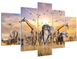 Tablou - Animae din Africa (150x105 cm)