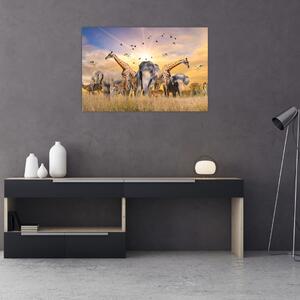 Tablou - Animae din Africa (90x60 cm)