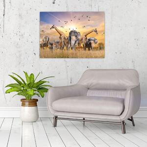 Tablou - Animae din Africa (70x50 cm)