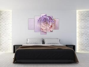 Tablou detaliu florii de trandafir (150x105 cm)