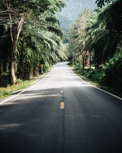 Fotografie The Good Road, Yoan Guerreiro, (30 x 40 cm)