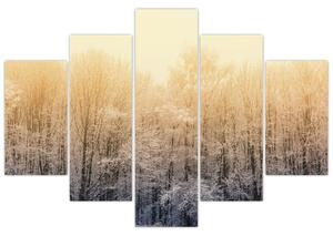 Tablou cu pădure geroasă (150x105 cm)