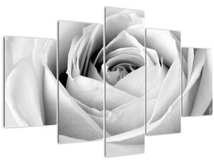 Tablou - Detailu de floare de trandafir (150x105 cm)