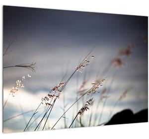 Tablou -Flori de luncă (70x50 cm)