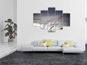 Tablou -Flori de luncă (150x105 cm)