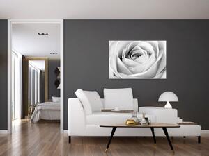 Tablou - Detailu de floare de trandafir (90x60 cm)