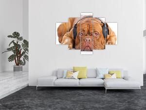 Tablou câinele cu căști (150x105 cm)