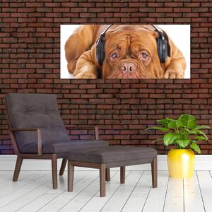Tablou câinele cu căști (120x50 cm)