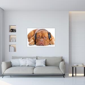 Tablou câinele cu căști (90x60 cm)