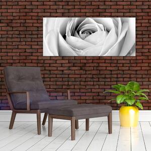 Tablou - Detailu de floare de trandafir (120x50 cm)
