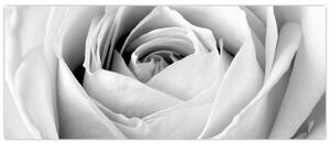 Tablou - Detailu de floare de trandafir (120x50 cm)