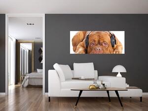 Tablou câinele cu căști (120x50 cm)