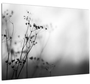 Tablou pe sticlă - Detailu florior de luncă (70x50 cm)