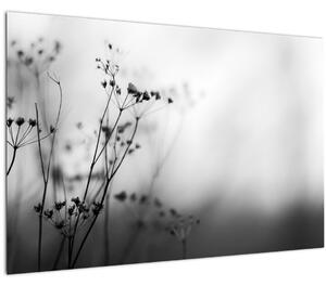 Tablou - Detailu florior de luncă (90x60 cm)