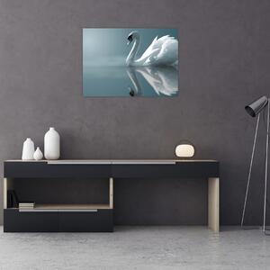 Tablou -Lebădă albă (70x50 cm)
