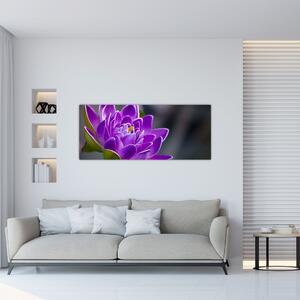 Tablou floarei (120x50 cm)