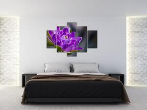 Tablou floarei (150x105 cm)