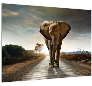 Tablou cu elefant (70x50 cm)