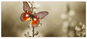 Tablou cu fluture (120x50 cm)