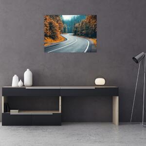 Tablou - Drumul cu serpentine (70x50 cm)