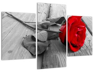 Tablou cu trandafiri roșii (90x60 cm)