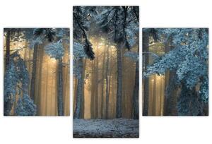 Tablou cu pădure înzăpezită (90x60 cm)