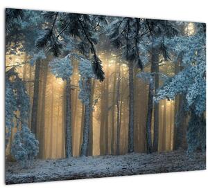 Tablou cu pădure înzăpezită (70x50 cm)