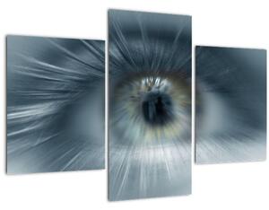 Tablou - Privirea ochiului (90x60 cm)