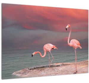 Tablou pe sticlă - Flamingo (70x50 cm)