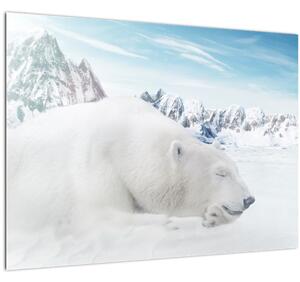 Tablou pe sticlă - Urs polar (70x50 cm)