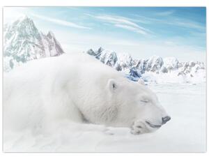 Tablou - Urs polar (70x50 cm)