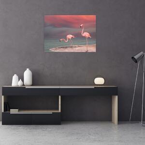 Tablou - Flamingo (70x50 cm)