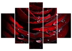 Tablou - Trandafir (150x105 cm)