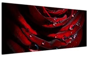 Tablou - Trandafir (120x50 cm)