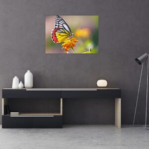 Tablou - Fluture pe floare (70x50 cm)