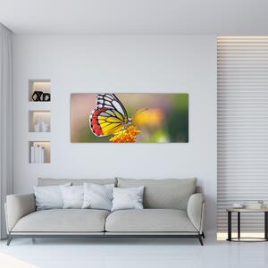 Tablou - Fluture pe floare (120x50 cm)