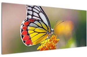 Tablou - Fluture pe floare (120x50 cm)