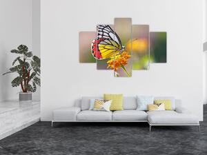 Tablou - Fluture pe floare (150x105 cm)