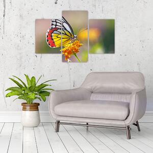 Tablou - Fluture pe floare (90x60 cm)
