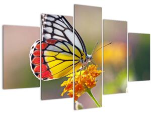 Tablou - Fluture pe floare (150x105 cm)