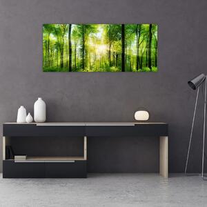 Tablou - Răsărit în pădure (120x50 cm)