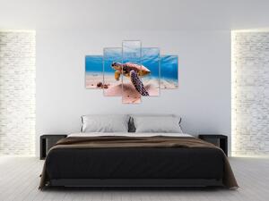 Tablou - Broasca țesstoasă (150x105 cm)