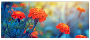 Tablou - Flori portocalii (120x50 cm)