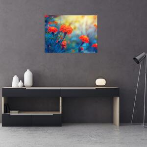 Tablou - Flori portocalii (70x50 cm)