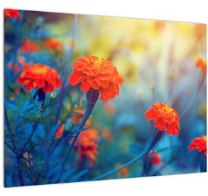 Tablou pe sticlă - Flori portocalii (70x50 cm)