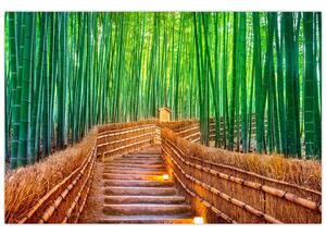 Tablou - Pădure de bambus japoneză (90x60 cm)