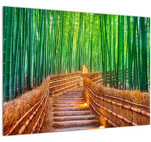 Tablou - Pădure de bambus japoneză (70x50 cm)
