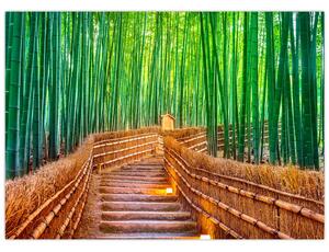 Tablou pe sticlă - Pădure de bambus japoneză (70x50 cm)