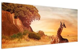 Tablou Girafe în Africa (120x50 cm)