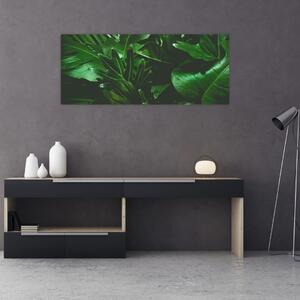 Tablou - Frunze de palmier (120x50 cm)